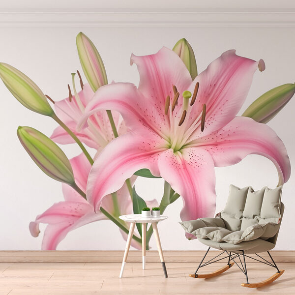 Lírio cor-de-rosa com botões Lírio cor-de-rosa com botões