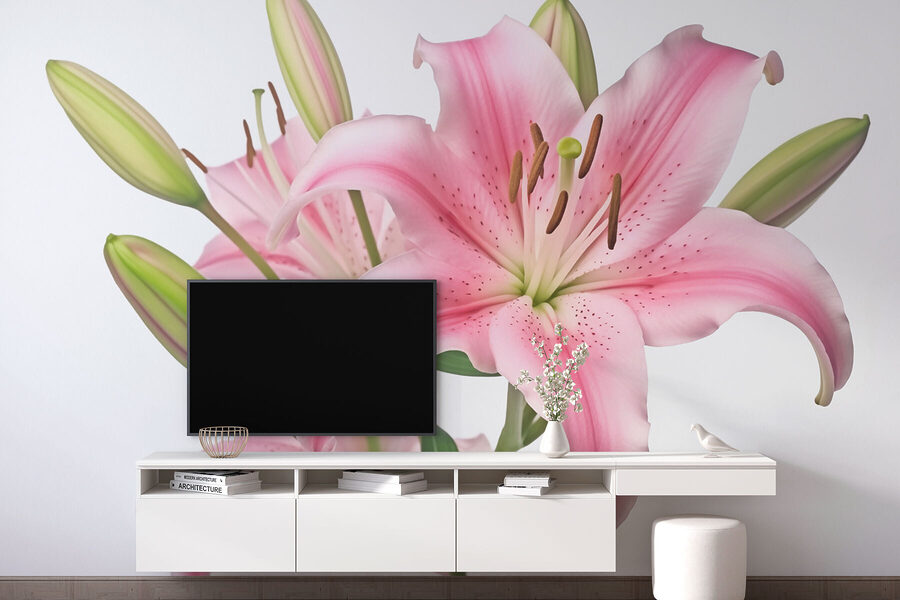 Lírio cor-de-rosa com botões