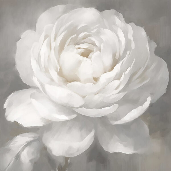 White flower with leaves White flower with leaves