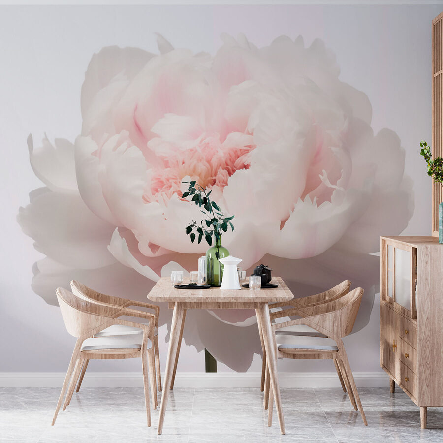 Pétalas delicadas em suave floração