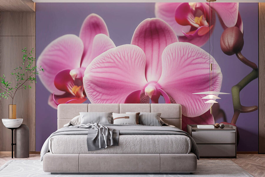 Orquídeas delicadas em tons suaves
