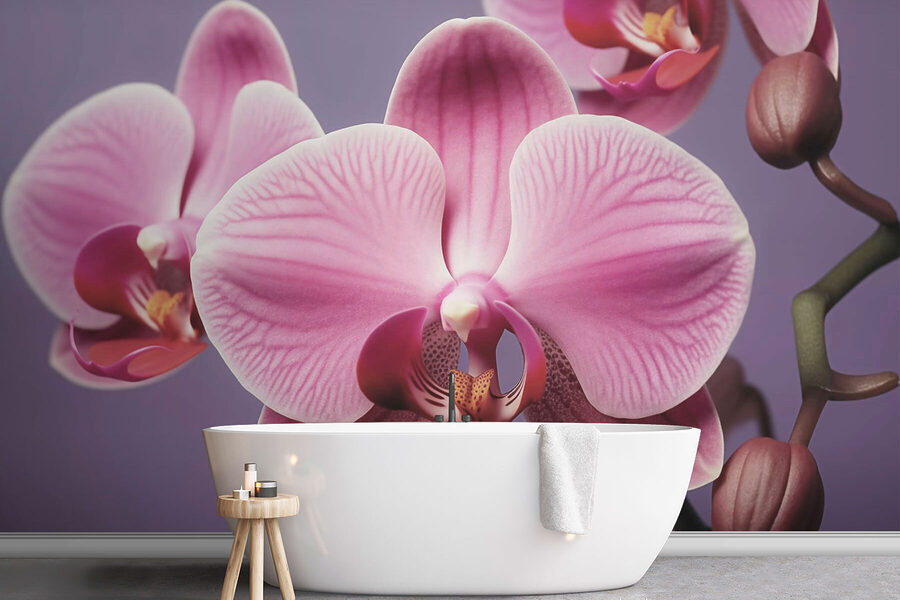 Orquídeas delicadas em tons suaves
