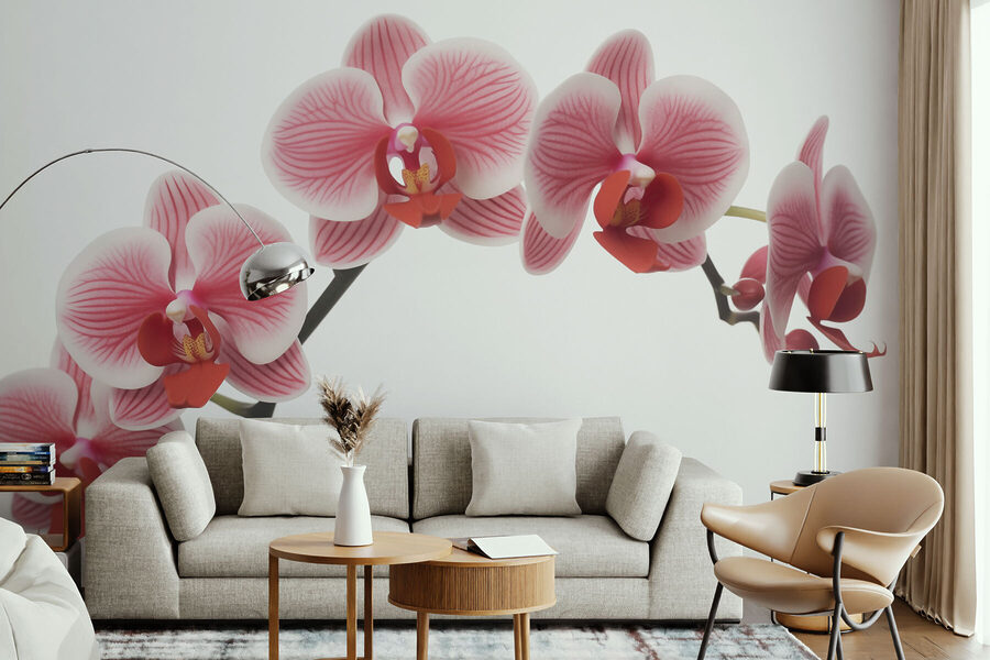 Delicadas orquídeas em suave floração