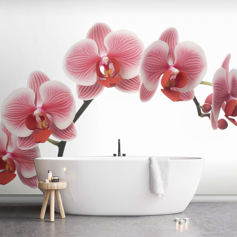 Delicadas orquídeas em suave floração