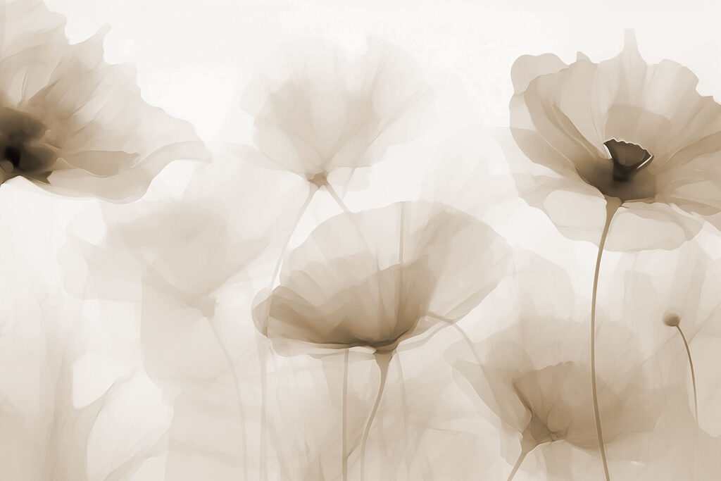 Grupo de flores sobre um fundo branco Grupo de flores sobre um fundo branco