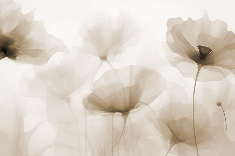 Grupo de flores sobre um fundo branco