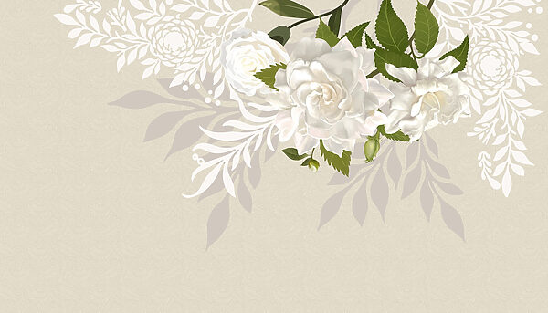 Flores brancas com folhas verdes Flores brancas com folhas verdes