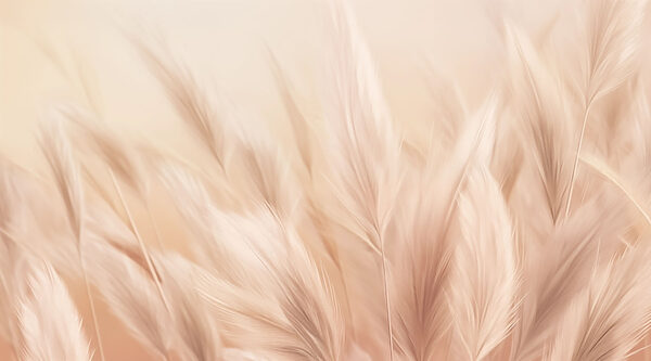 Gentle waves of soft feathers