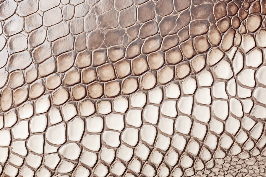 Grande plano de um padrão de pele de réptil texturado.