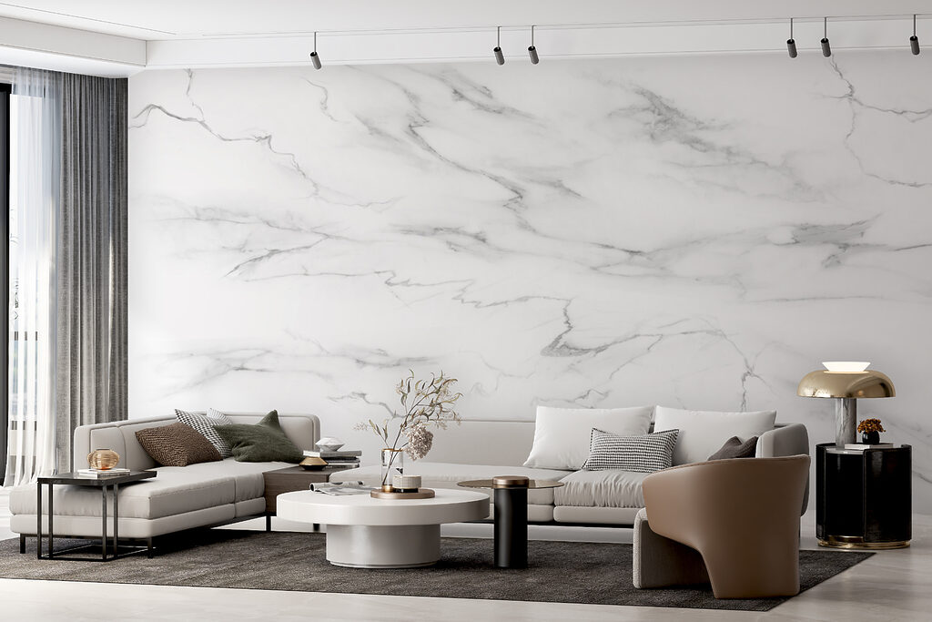 White marble with black veins