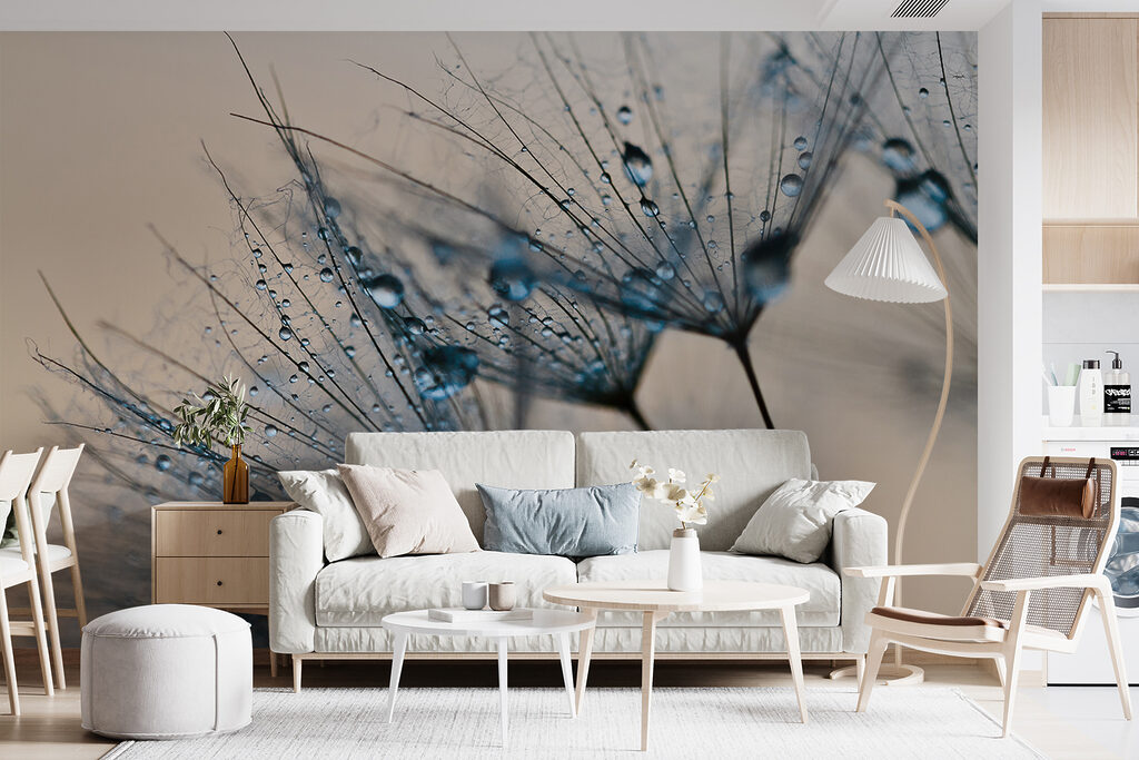 Delicate droplets on dandelion seeds