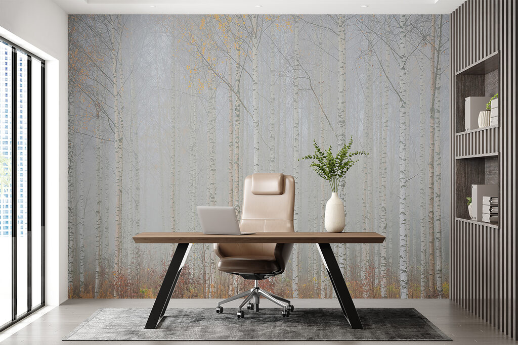 Group of trees in a forest Group of trees in a forest