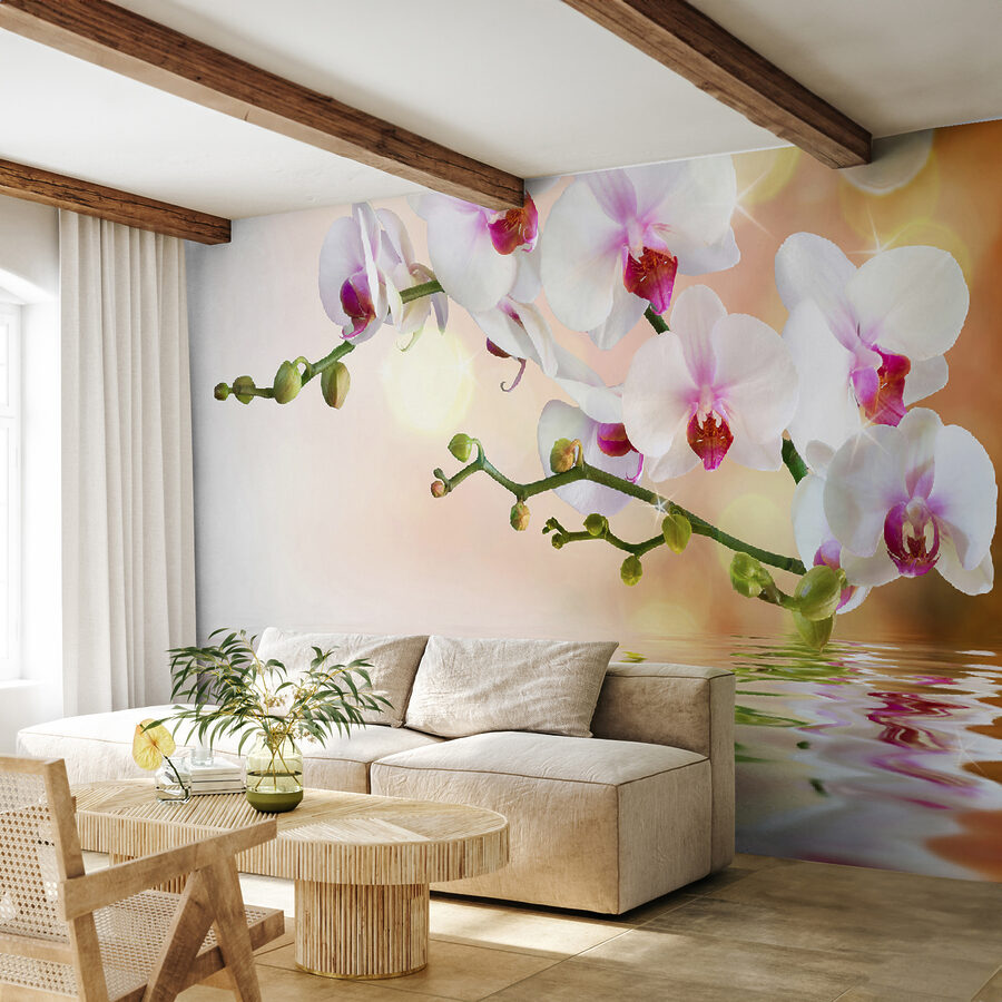Orquídeas brancas num ramo com ondulações de água