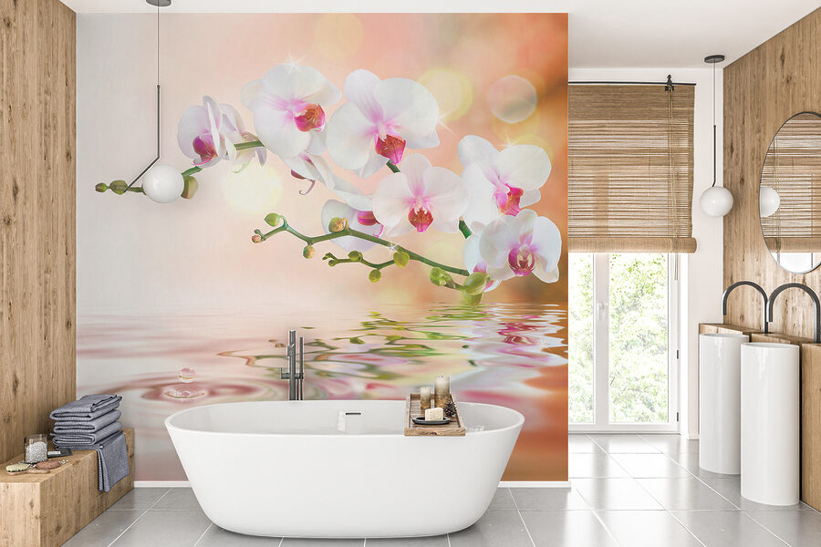 Orquídeas brancas num ramo com ondulações de água