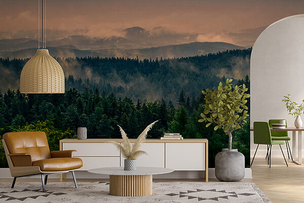 Forest with fog and clouds