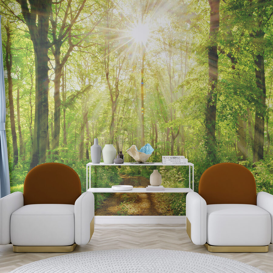 Papel de parede Caminho através de uma floresta com árvores e plantas - Image 6