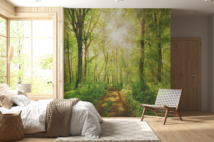 Papel de parede Caminho através de uma floresta com árvores e plantas - Image 7