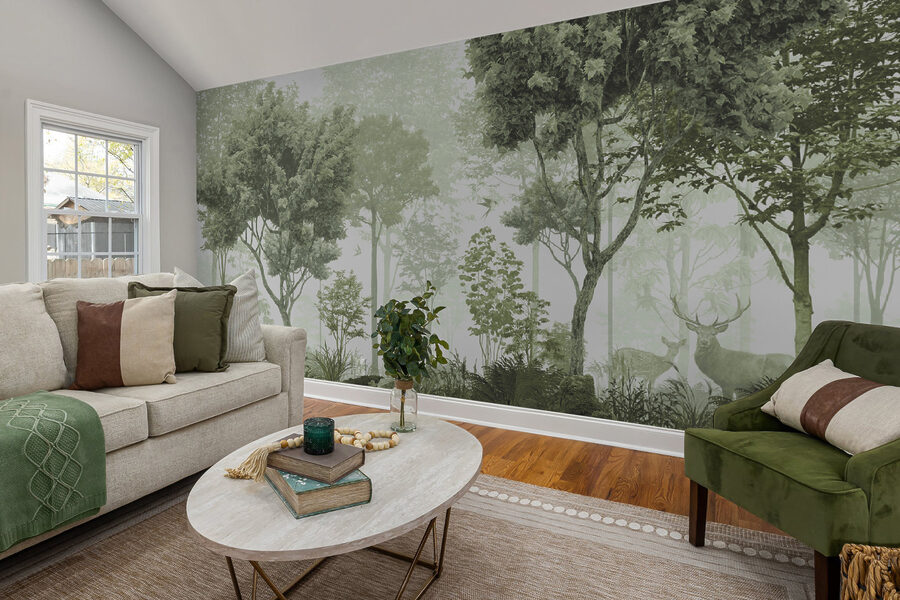 Uma floresta com árvores e plantas