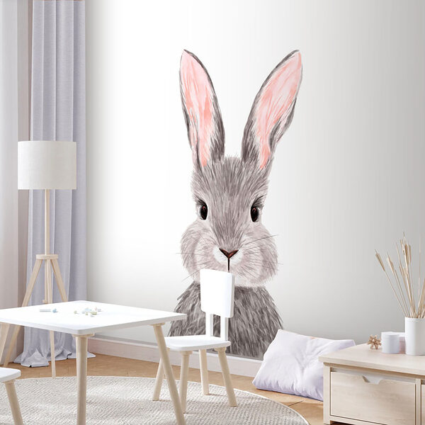 Adorável coelho com pelo macio. Adorável coelho com pelo macio.