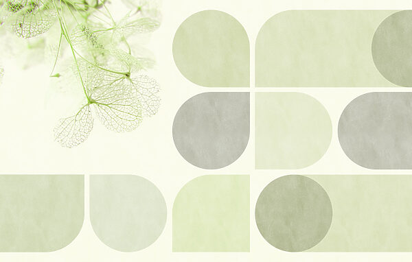 Delicate leaves against muted background Delicate leaves against muted background