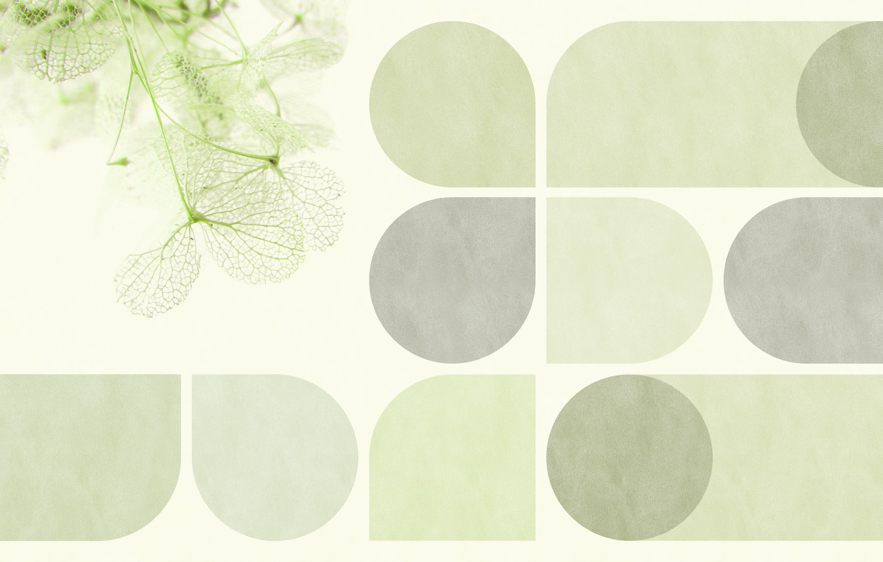 Delicate leaves against muted background Delicate leaves against muted background