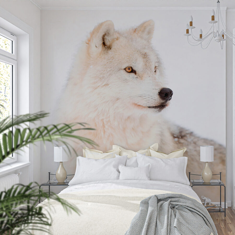 Papel de parede Um lobo branco na neve - Image 4