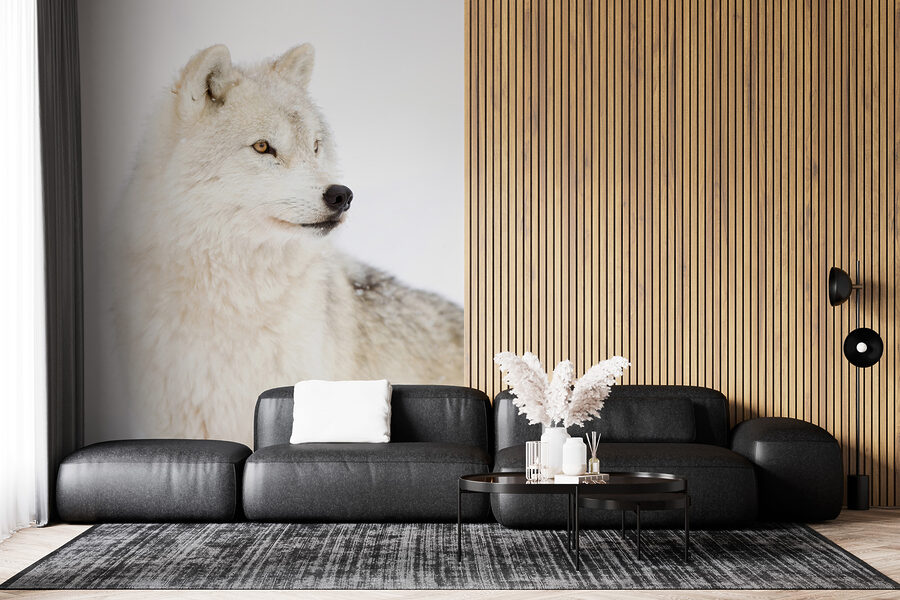 Papel de parede Um lobo branco na neve - Image 5