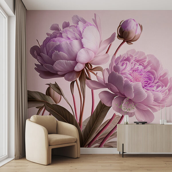 Elegantes peónias cor-de-rosa em suave floração. Elegantes peónias cor-de-rosa em suave floração.