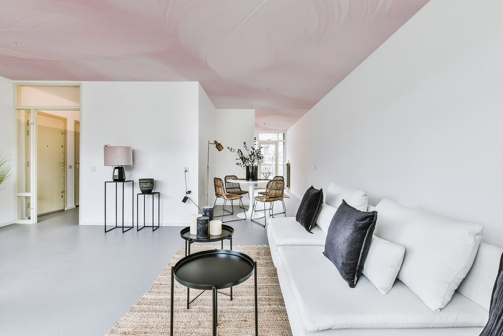 Close up of feathers Close up of feathers