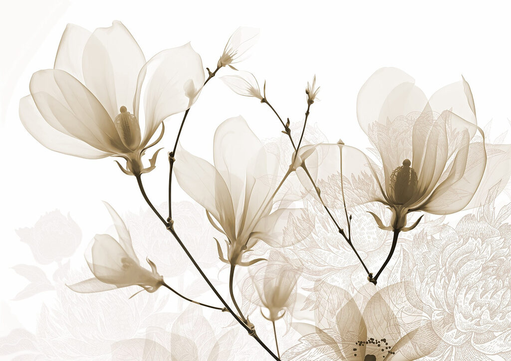 Flores delicadas em tons suaves Flores delicadas em tons suaves