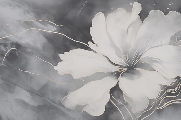 Flor branca sobre um fundo preto e branco Flor branca sobre um fundo preto e branco