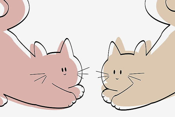 Um par de gatos deitados Um par de gatos deitados