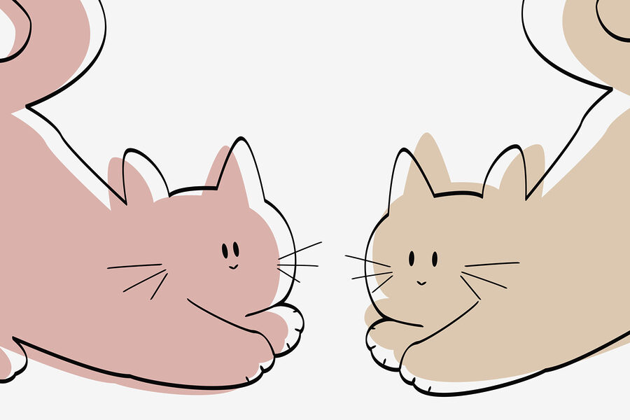 Um par de gatos deitados