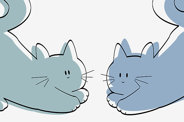 Um par de gatos deitados Um par de gatos deitados