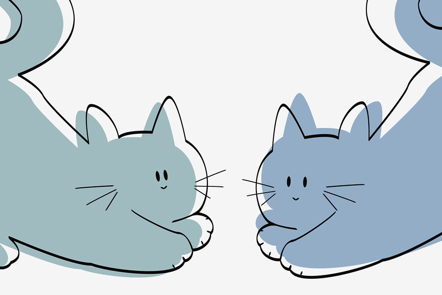 Papel de parede Um par de gatos deitados - Image 3