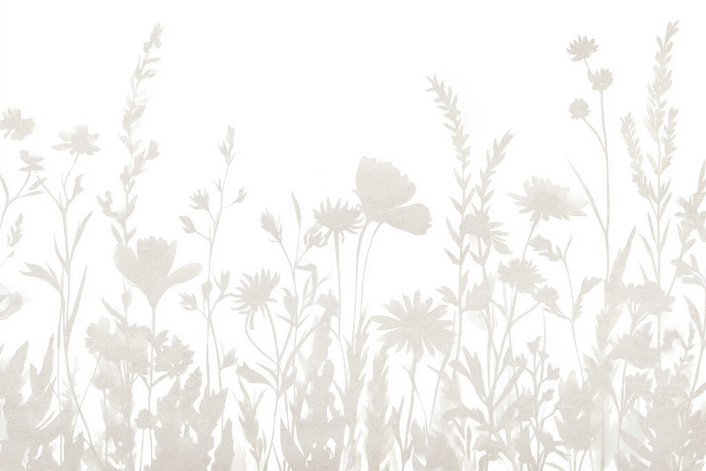 Fundo branco com flores Fundo branco com flores