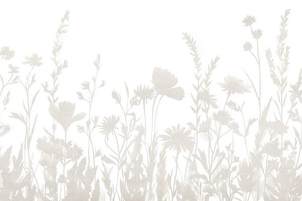 Fundo branco com flores Fundo branco com flores