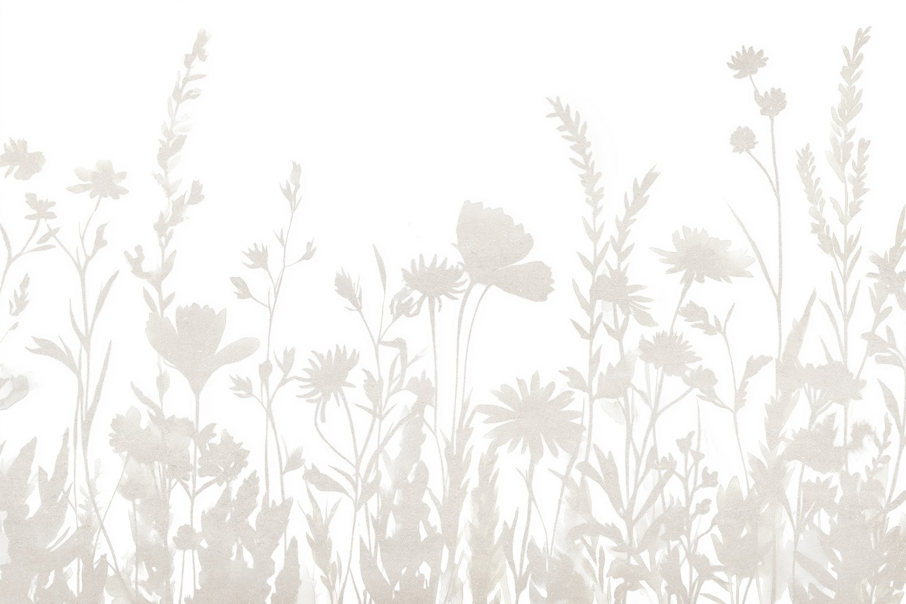 White background with flowers White background with flowers