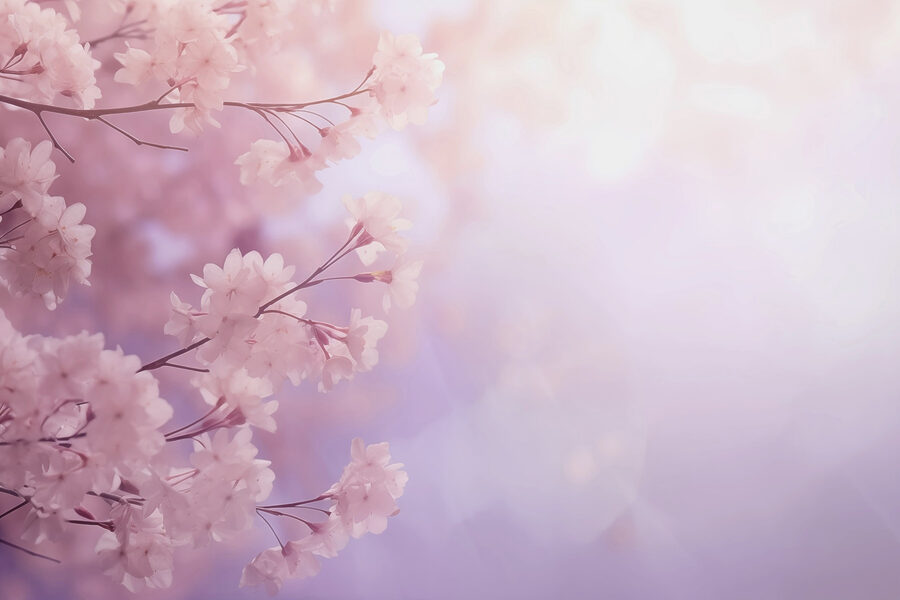 Flores suaves num momento pastel