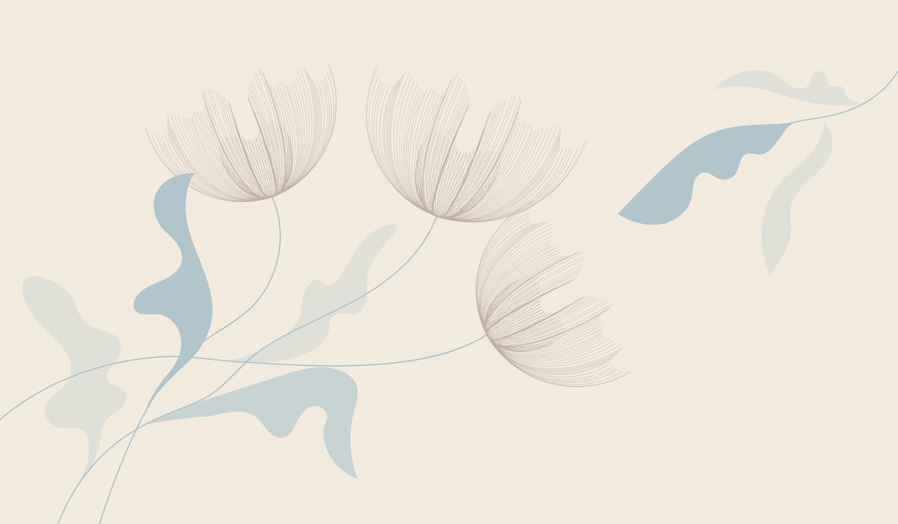 Drawing of flowers and leaves Drawing of flowers and leaves