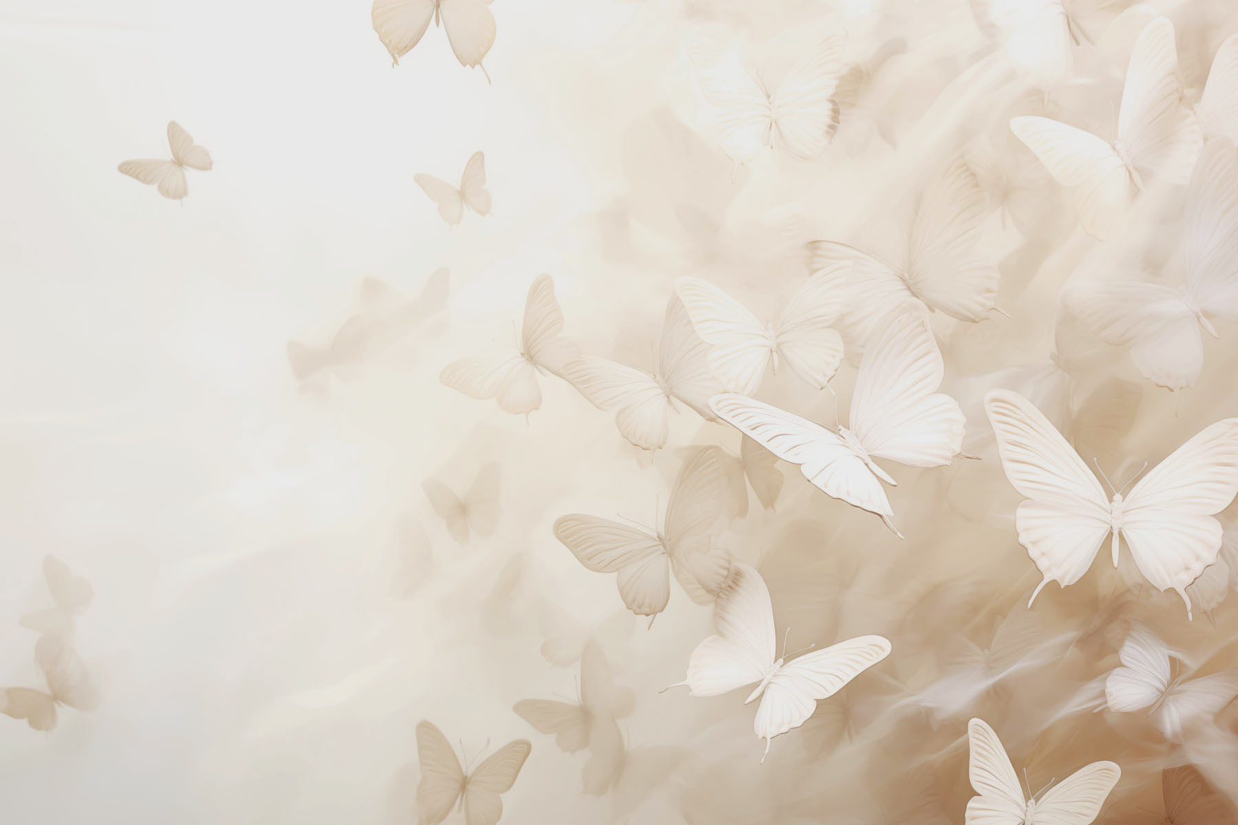 Group of butterflies flying Group of butterflies flying