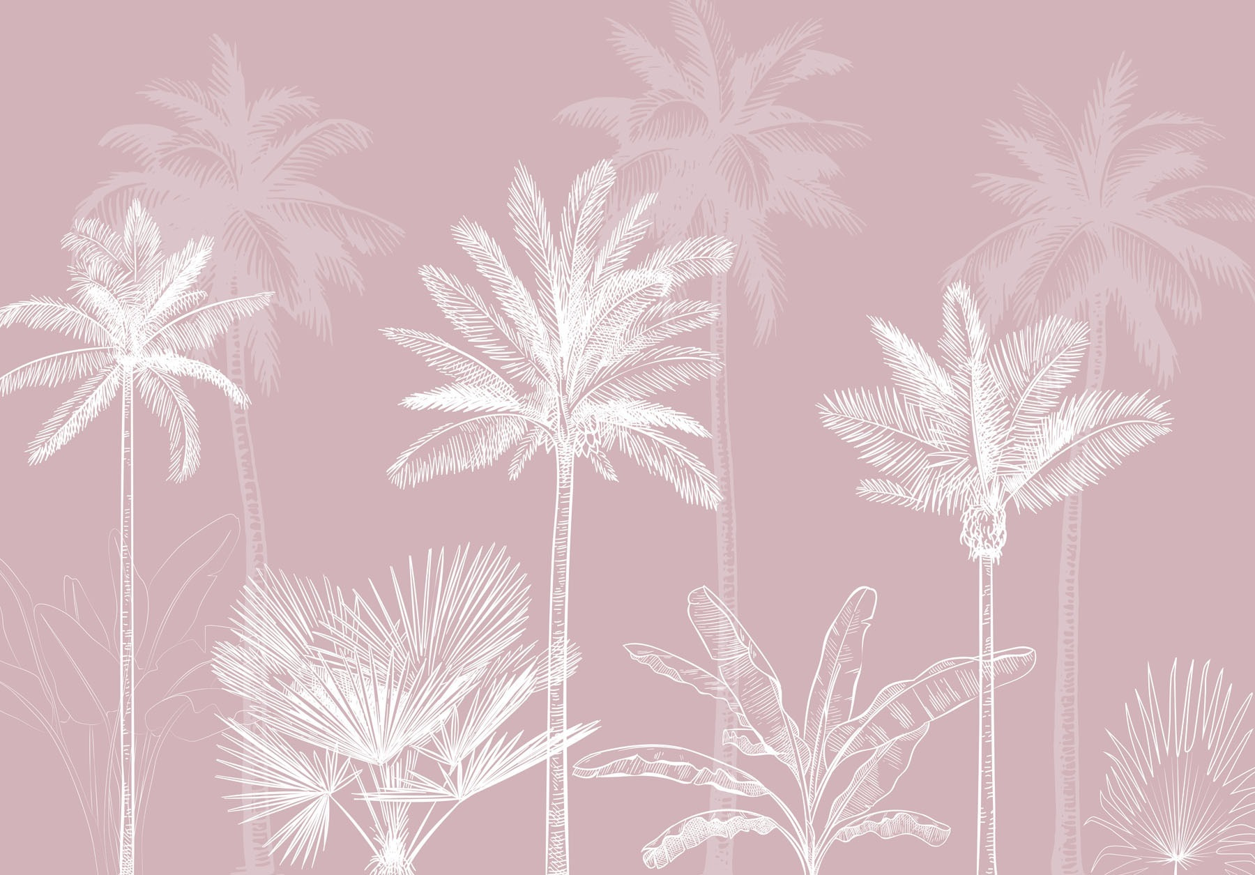 Group of palm trees