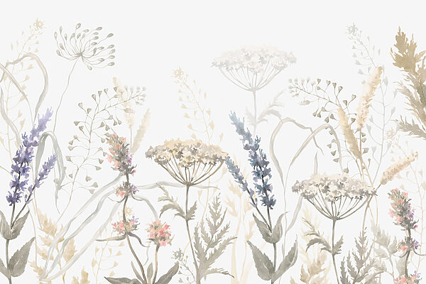 Pintura a aguarela de flores e plantas Pintura a aguarela de flores e plantas