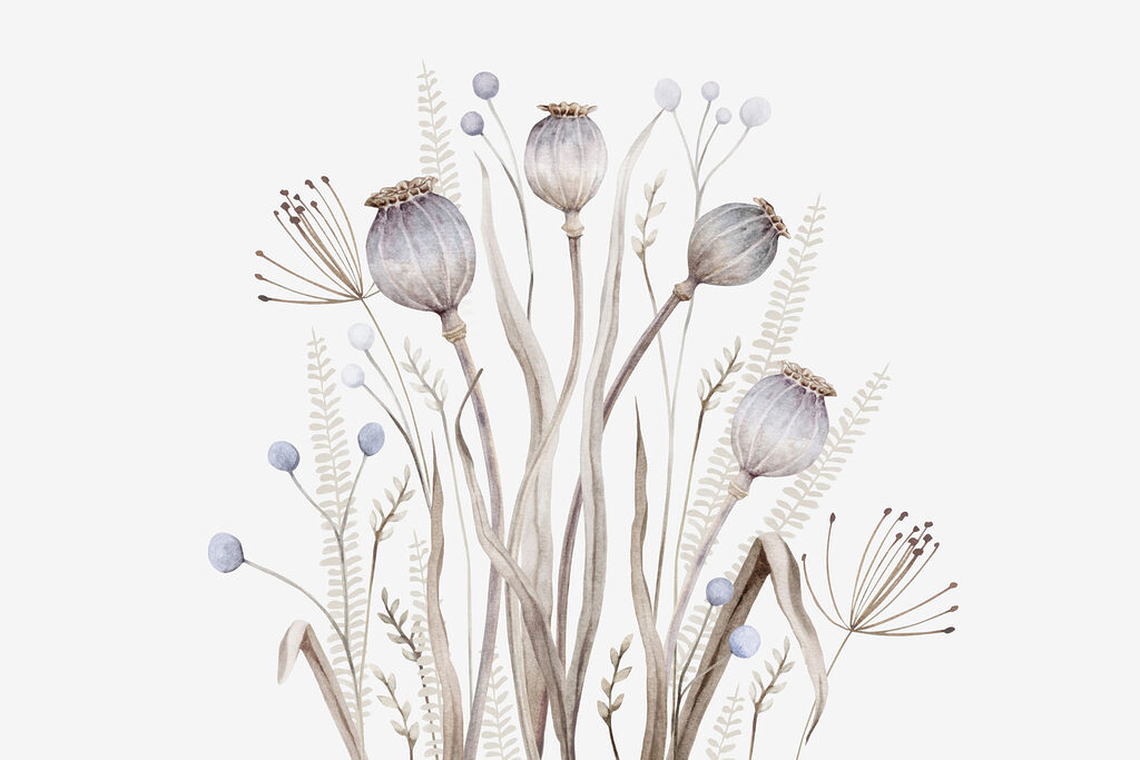 Pintura a aguarela de flores e plantas Pintura a aguarela de flores e plantas