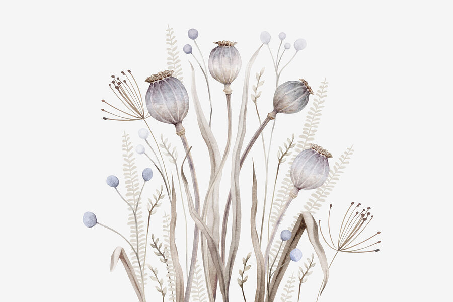 Pintura a aguarela de flores e plantas