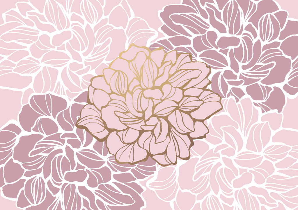 Flor rosa e branca Flor rosa e branca