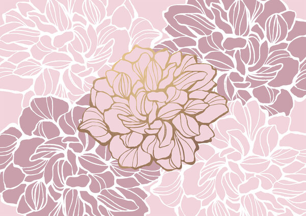 Flor rosa e branca Flor rosa e branca