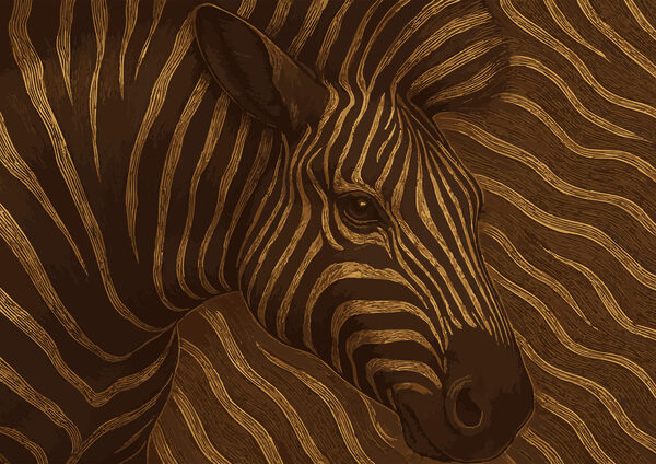 Zebra em redemoinhos abstractos de cor Zebra em redemoinhos abstractos de cor