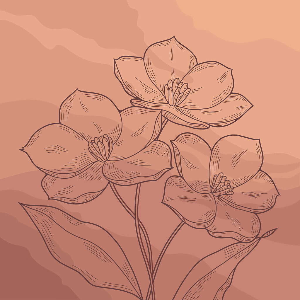 Desenho de flores sobre um fundo cor-de-rosa Desenho de flores sobre um fundo cor-de-rosa