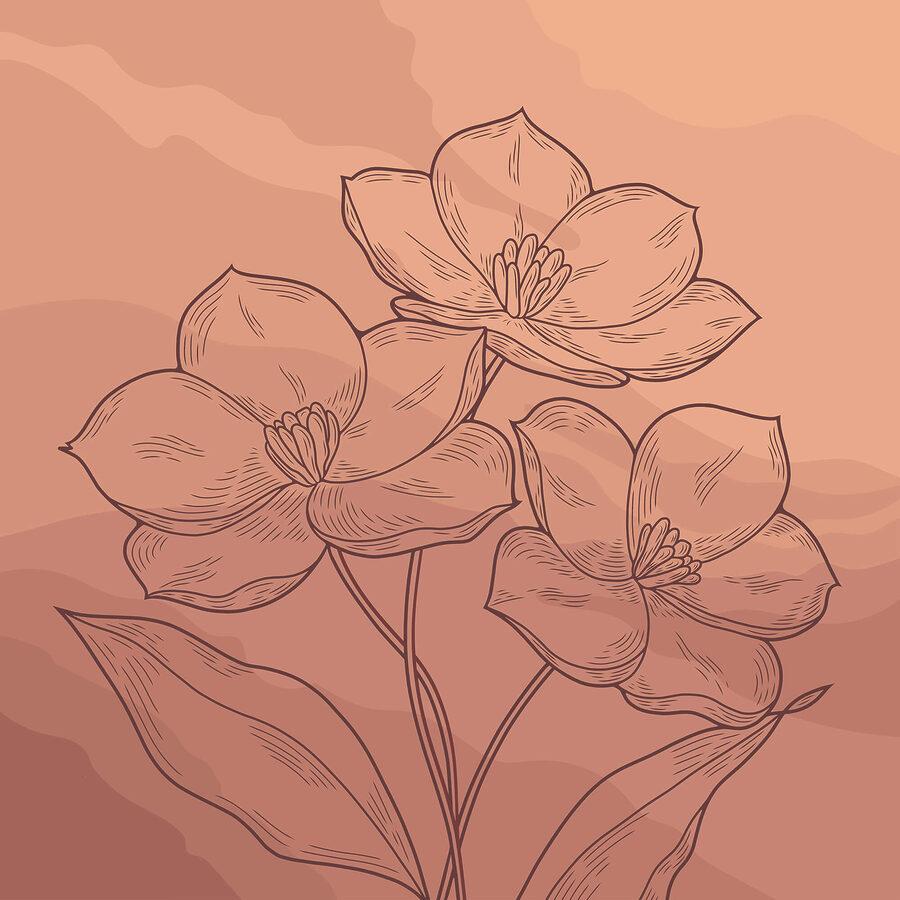 Desenho de flores sobre um fundo cor-de-rosa